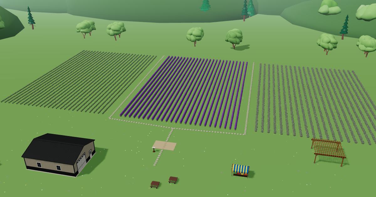Capay Valley Lavender in the Lavender Farm Simulator