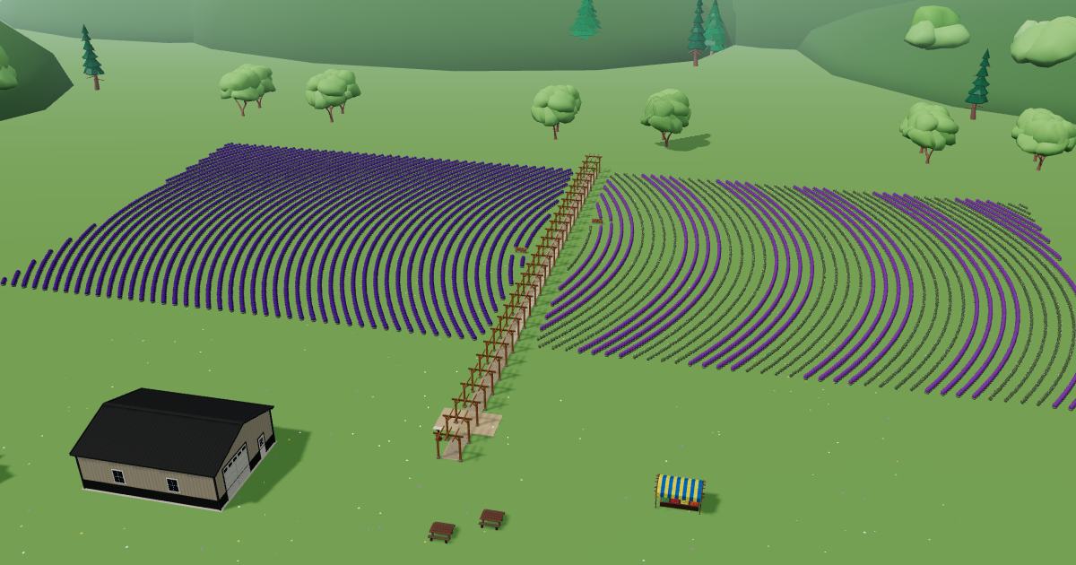 Four Sisters Farm Lavender in the Lavender Farm Simulator